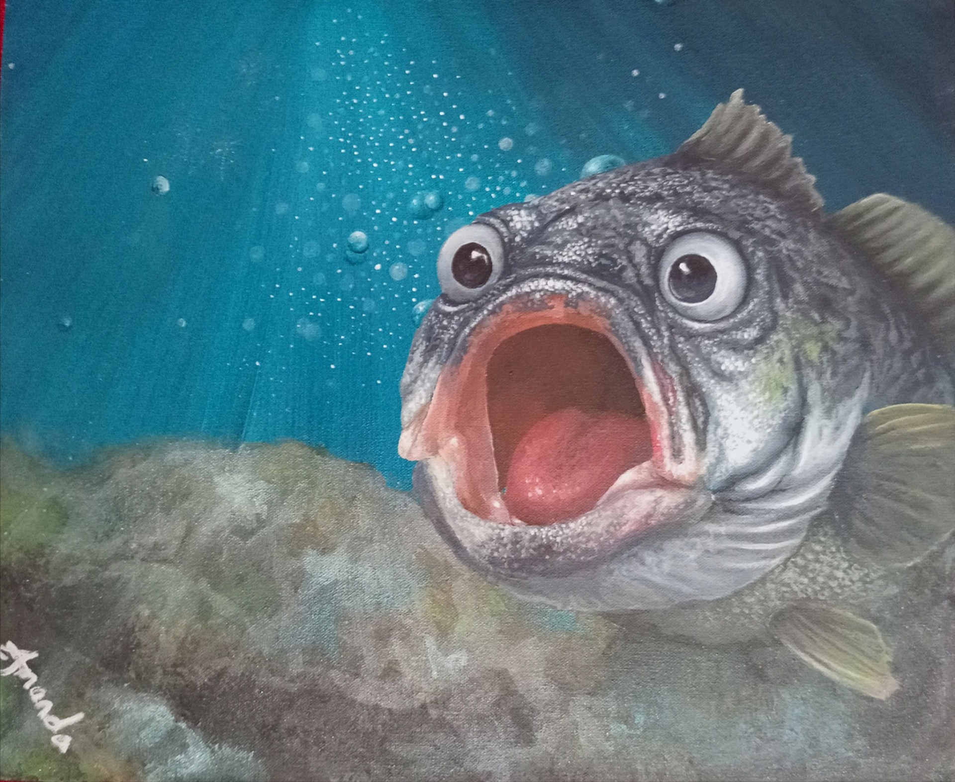 Surprised Fish