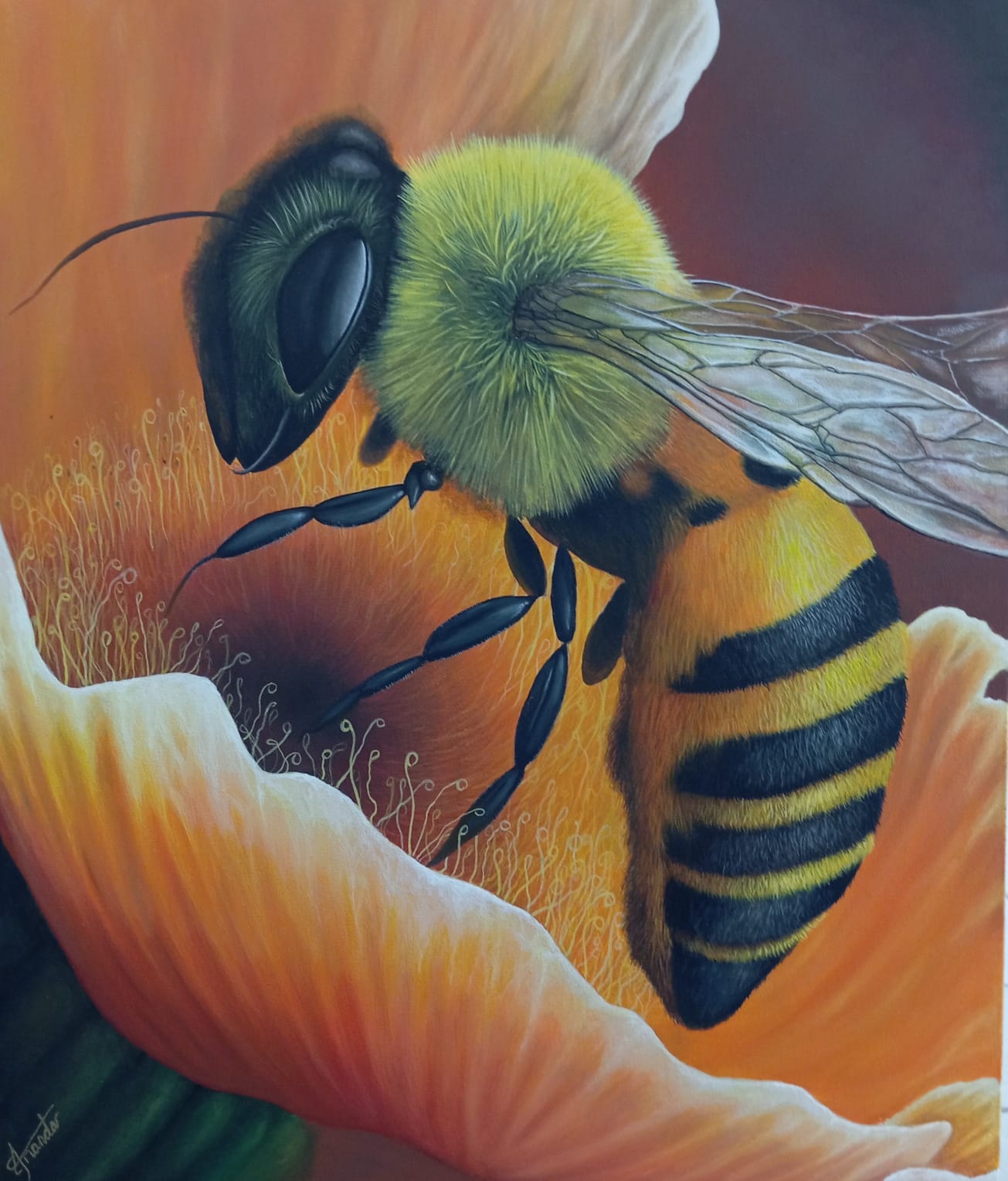 Bee on Blossom