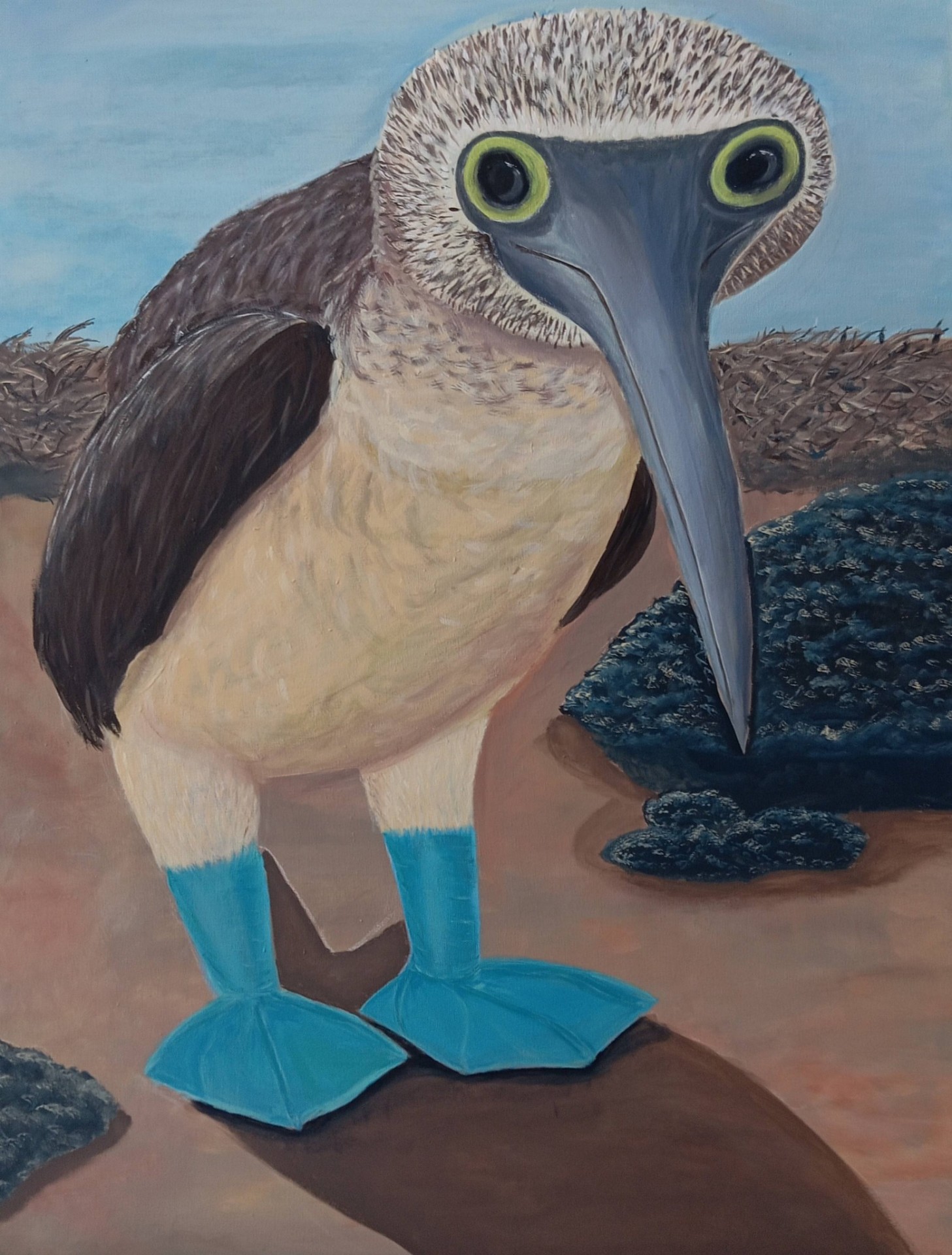 Blue-Footed Booby
