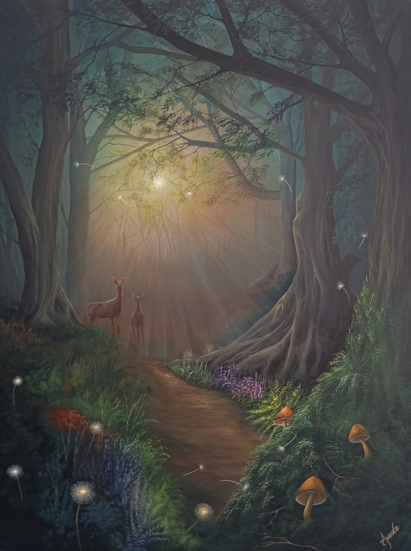 Enchanted Forest