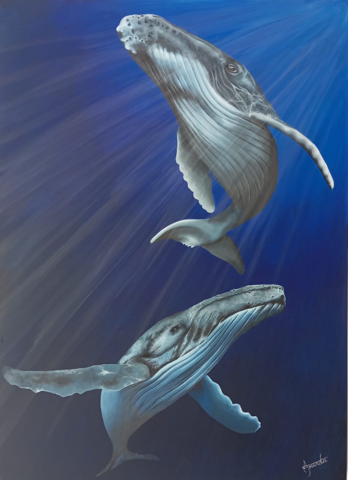 Humpback Whales