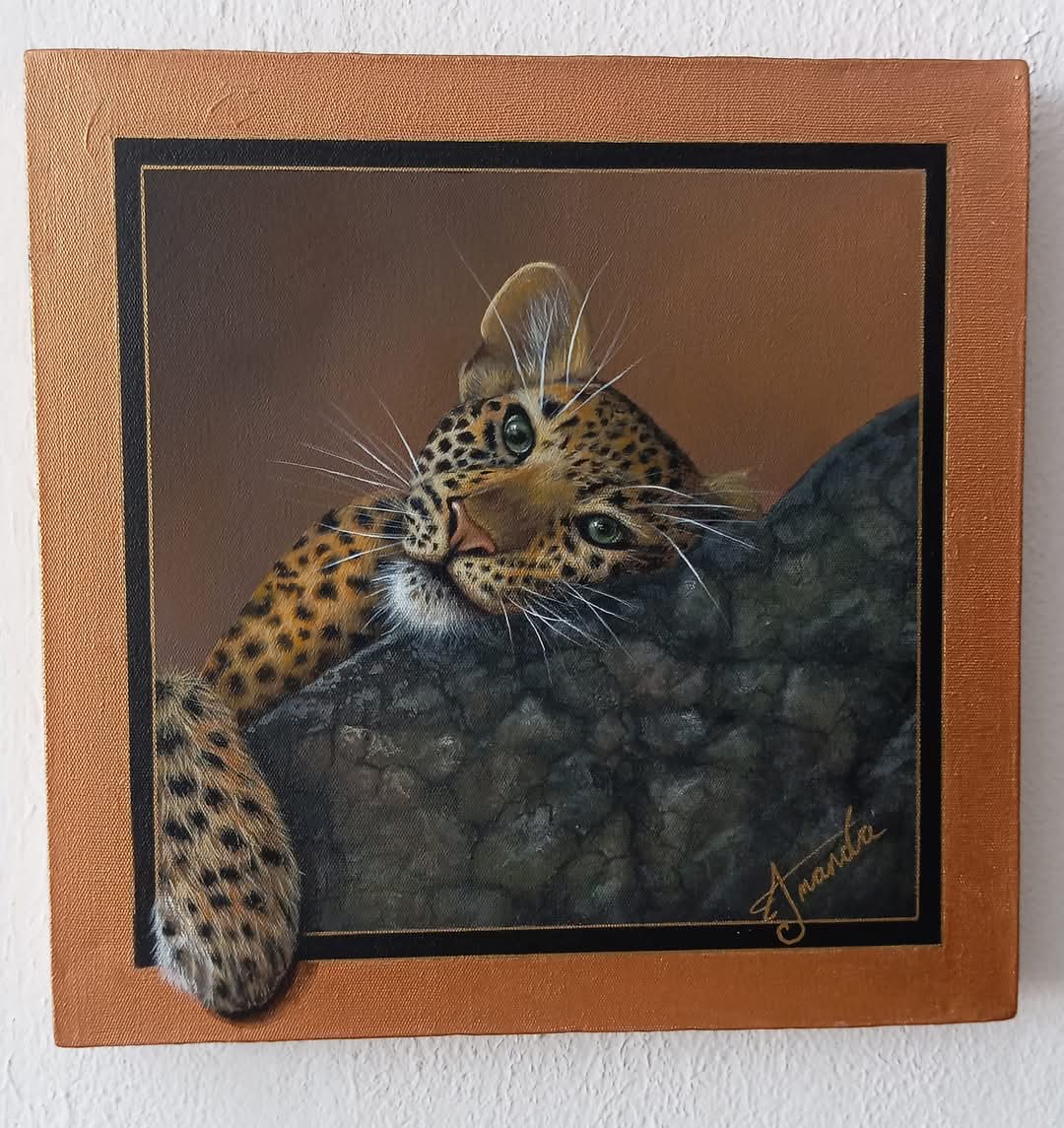 Leopard Cub