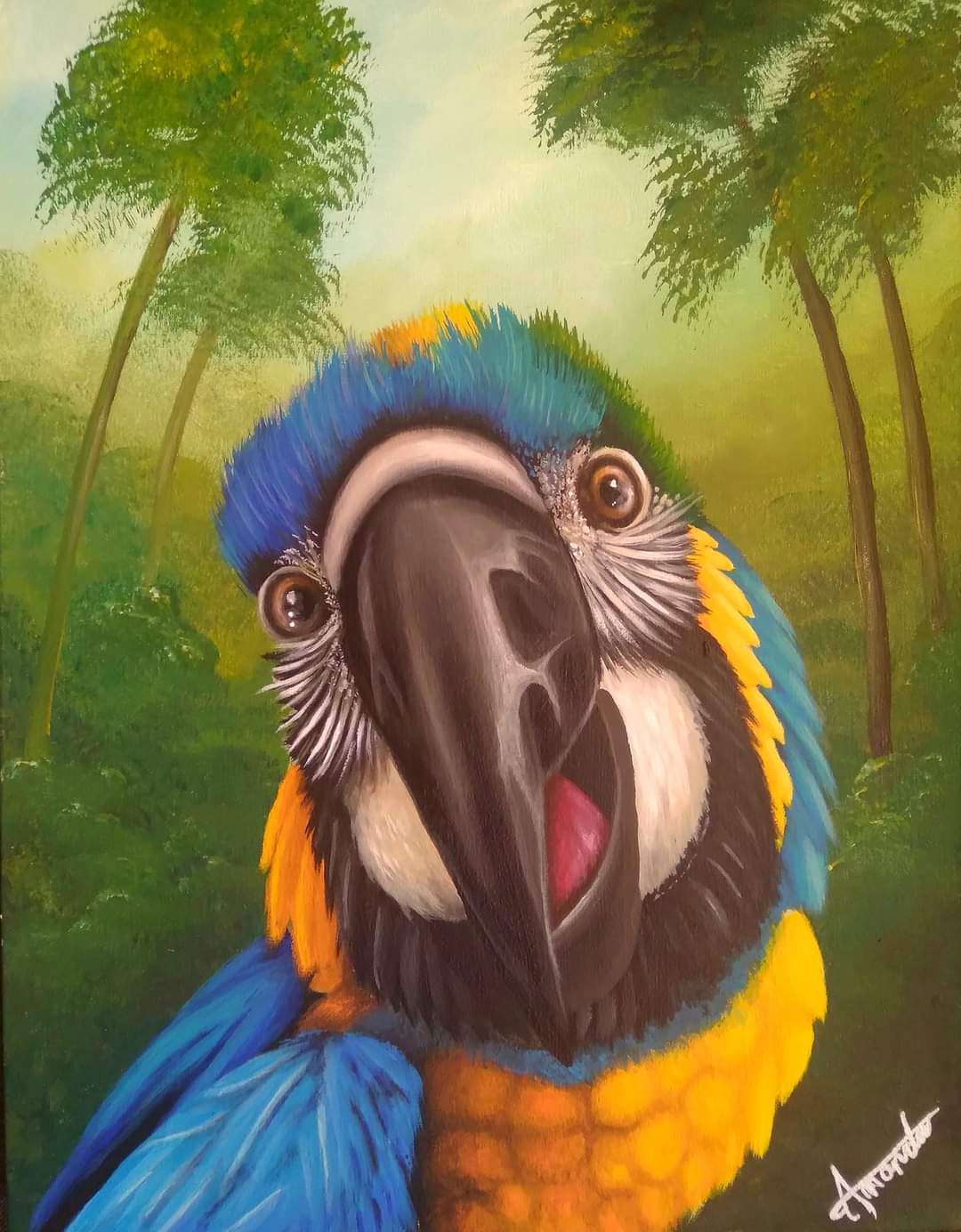 Macaw Portrait